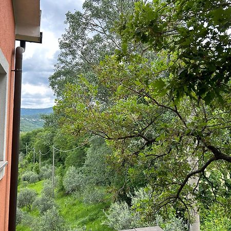 Ai 2 Olmi - Monolocali Nel Verde Muggia Exterior photo