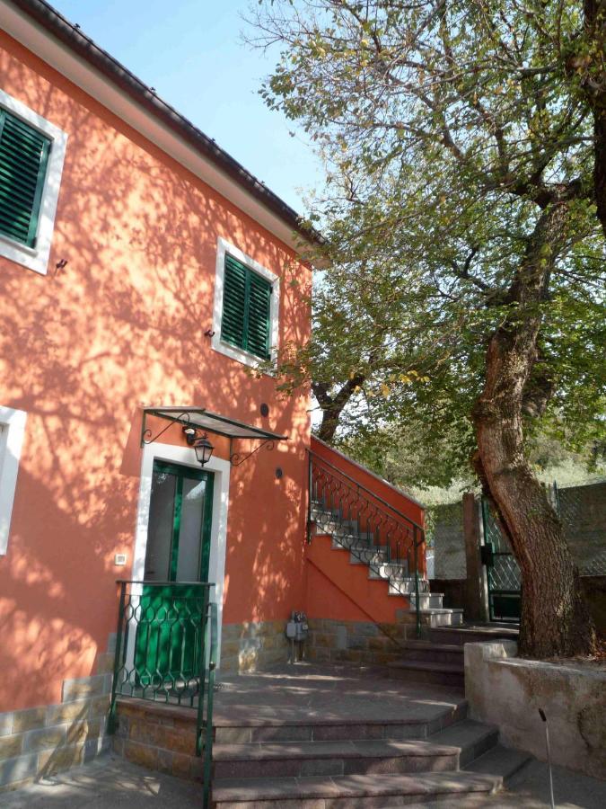 Ai 2 Olmi - Monolocali Nel Verde Muggia Exterior photo